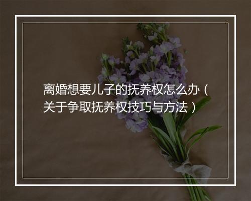 离婚想要儿子的抚养权怎么办（关于争取抚养权技巧与方法）