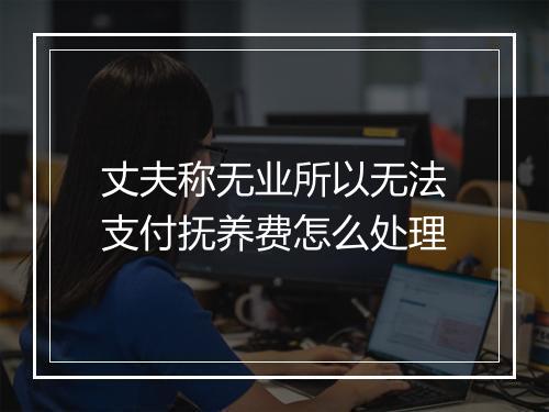 丈夫称无业所以无法支付抚养费怎么处理