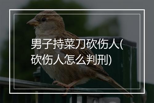 男子持菜刀砍伤人(砍伤人怎么判刑)
