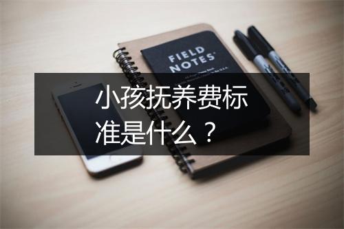 小孩抚养费标准是什么？