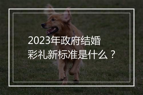 2023年政府结婚彩礼新标准是什么？
