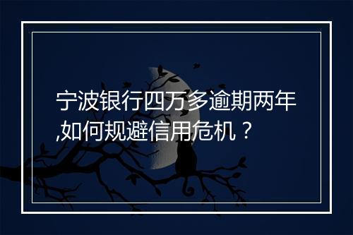 宁波银行四万多逾期两年,如何规避信用危机？