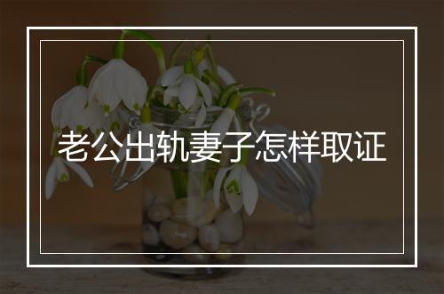老公出轨妻子怎样取证