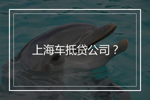 上海车抵贷公司？