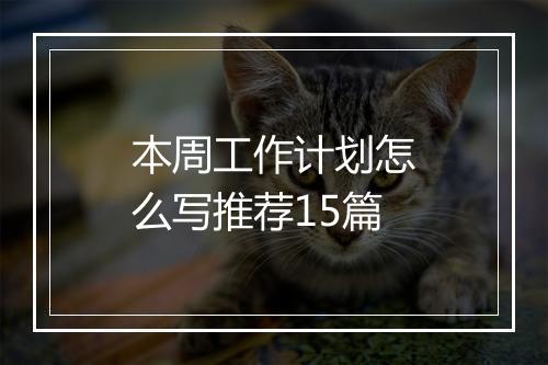 本周工作计划怎么写推荐15篇