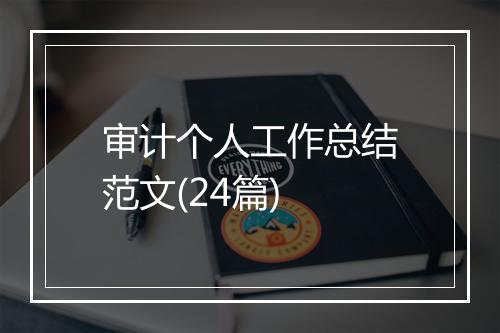 审计个人工作总结范文(24篇)