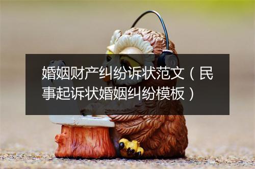 婚姻财产纠纷诉状范文（民事起诉状婚姻纠纷模板）