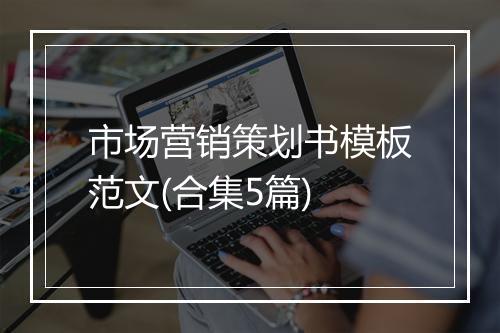 市场营销策划书模板范文(合集5篇)