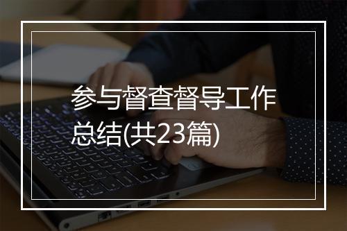 参与督查督导工作总结(共23篇)