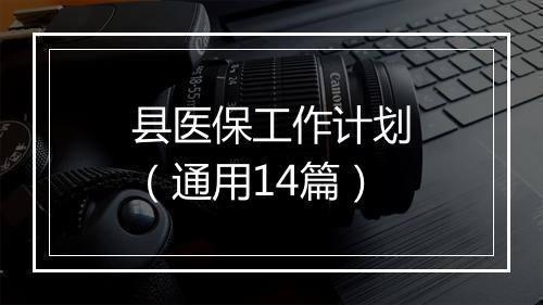 县医保工作计划（通用14篇）