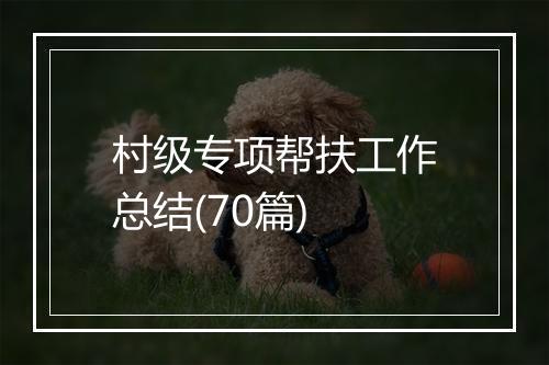 村级专项帮扶工作总结(70篇)