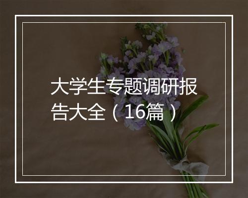 大学生专题调研报告大全（16篇）