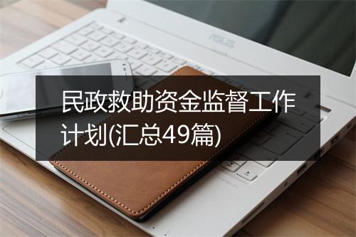 民政救助资金监督工作计划(汇总49篇)