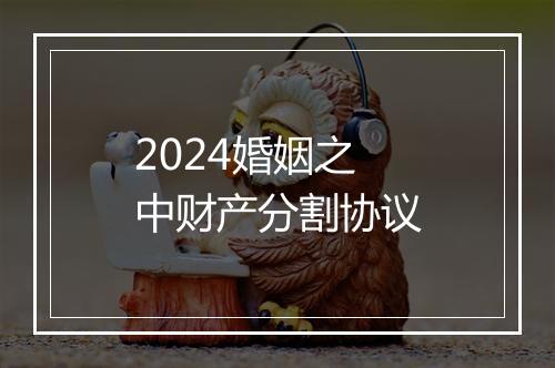 2024婚姻之中财产分割协议