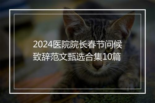 2024医院院长春节问候致辞范文甄选合集10篇