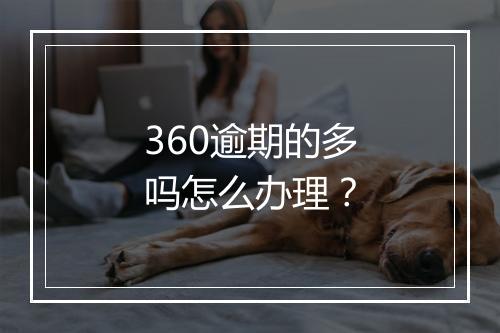 360逾期的多吗怎么办理？