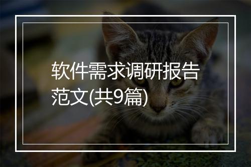 软件需求调研报告范文(共9篇)