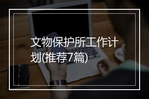 文物保护所工作计划(推荐7篇)