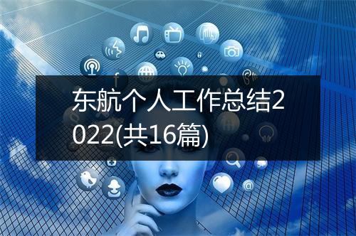 东航个人工作总结2022(共16篇)