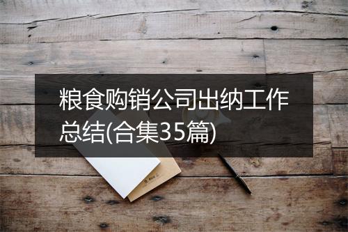 粮食购销公司出纳工作总结(合集35篇)