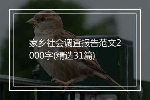家乡社会调查报告范文2000字(精选31篇)