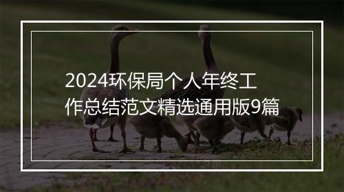 2024环保局个人年终工作总结范文精选通用版9篇
