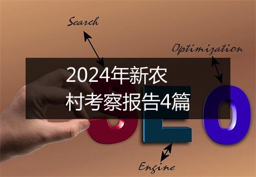 2024年新农村考察报告4篇