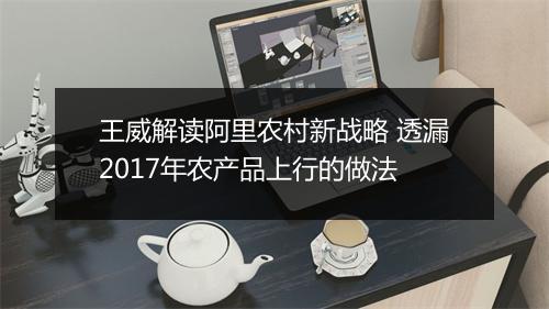 王威解读阿里农村新战略 透漏2017年农产品上行的做法