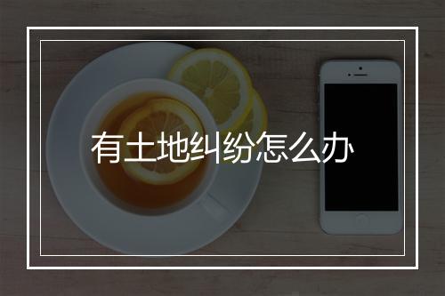 有土地纠纷怎么办