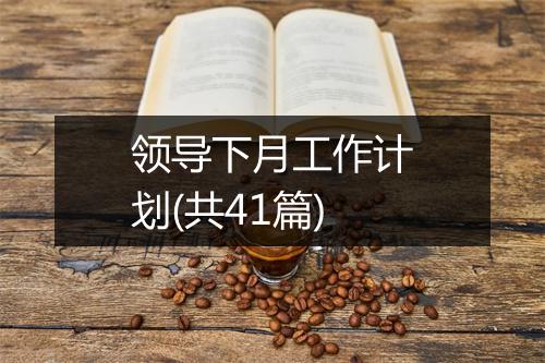 领导下月工作计划(共41篇)