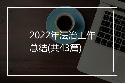 2022年法治工作总结(共43篇)