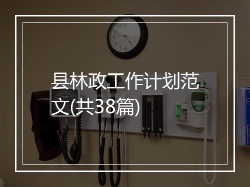 县林政工作计划范文(共38篇)