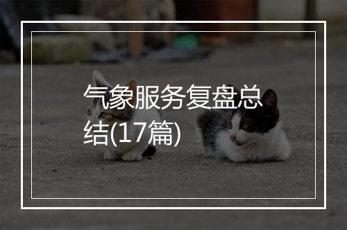 气象服务复盘总结(17篇)