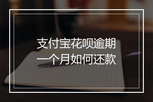 支付宝花呗逾期一个月如何还款