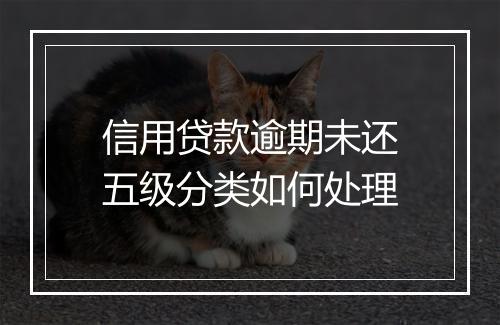 信用贷款逾期未还五级分类如何处理