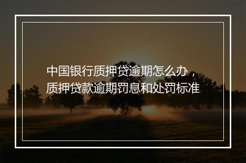 中国银行质押贷逾期怎么办，质押贷款逾期罚息和处罚标准