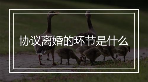协议离婚的环节是什么