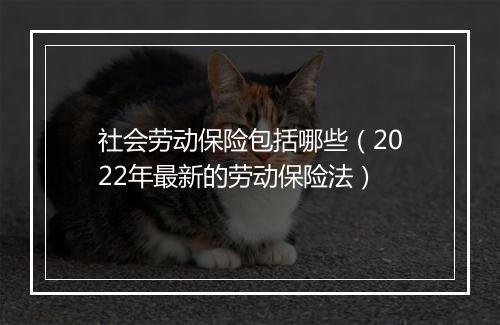 社会劳动保险包括哪些（2022年最新的劳动保险法）