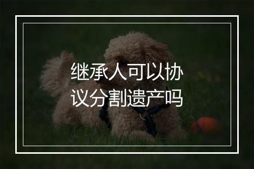 继承人可以协议分割遗产吗