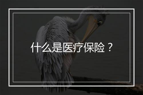 什么是医疗保险？