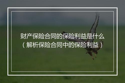 财产保险合同的保险利益是什么（解析保险合同中的保险利益）