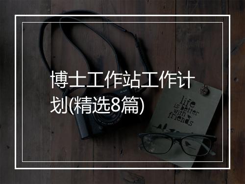 博士工作站工作计划(精选8篇)