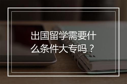 出国留学需要什么条件大专吗？