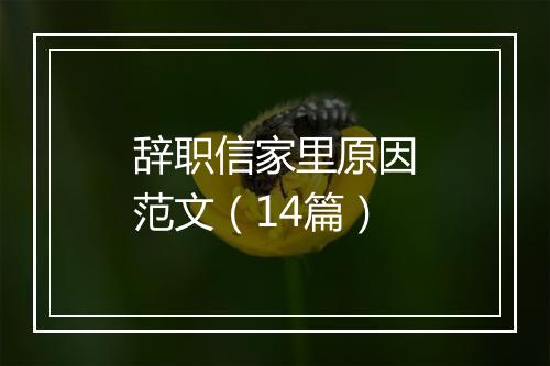 辞职信家里原因范文（14篇）