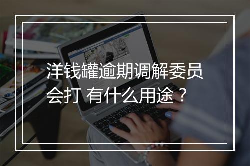 洋钱罐逾期调解委员会打 有什么用途？