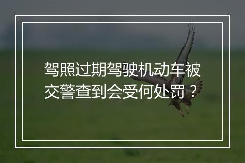 驾照过期驾驶机动车被交警查到会受何处罚？