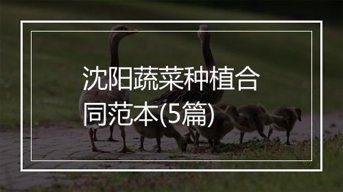 沈阳蔬菜种植合同范本(5篇)