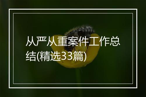 从严从重案件工作总结(精选33篇)