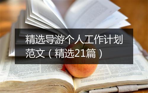 精选导游个人工作计划范文（精选21篇）