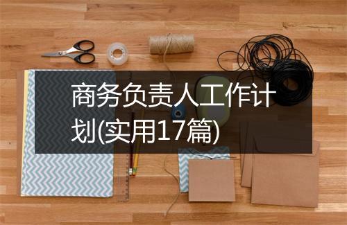 商务负责人工作计划(实用17篇)